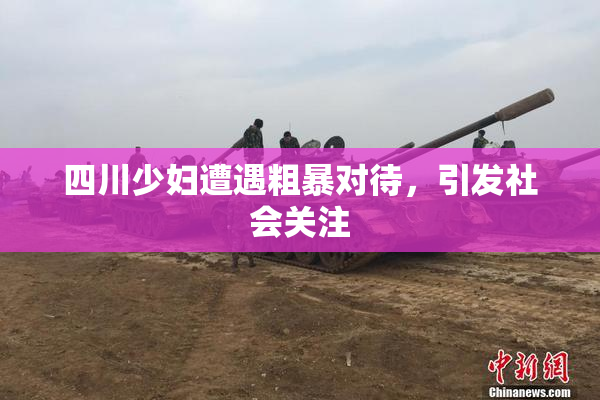 四川少妇遭遇粗暴对待，引发社会关注