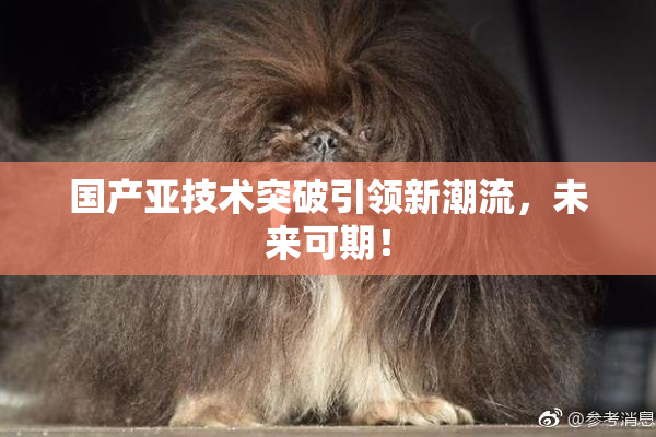 国产亚技术突破引领新潮流，未来可期！
