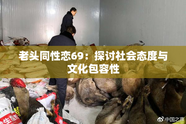 老头同性恋69：探讨社会态度与文化包容性
