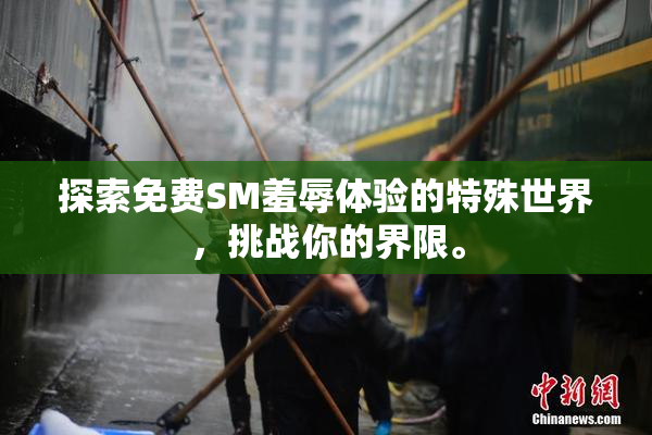 探索免费SM羞辱体验的特殊世界，挑战你的界限。