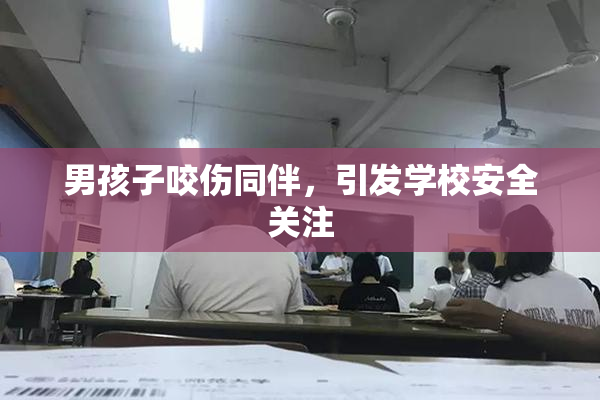 男孩子咬伤同伴，引发学校安全关注