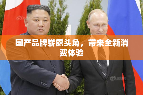 国产品牌崭露头角，带来全新消费体验