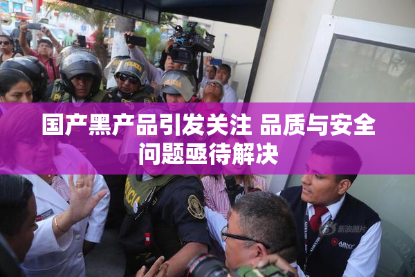 国产黑产品引发关注 品质与安全问题亟待解决
