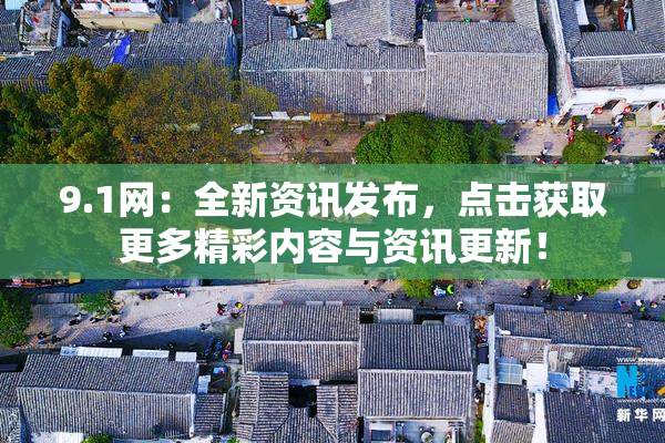 9.1网：全新资讯发布，点击获取更多精彩内容与资讯更新！