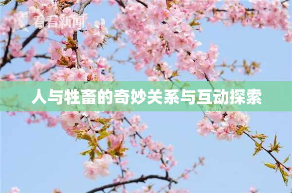 人与牲畜的奇妙关系与互动探索