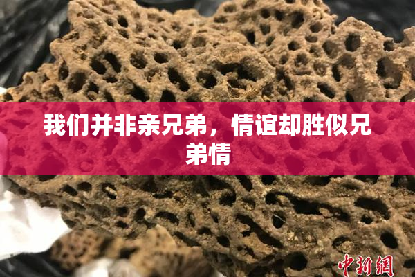 我们并非亲兄弟，情谊却胜似兄弟情