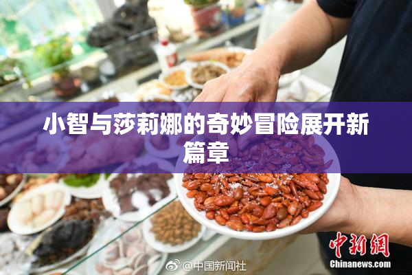 小智与莎莉娜的奇妙冒险展开新篇章