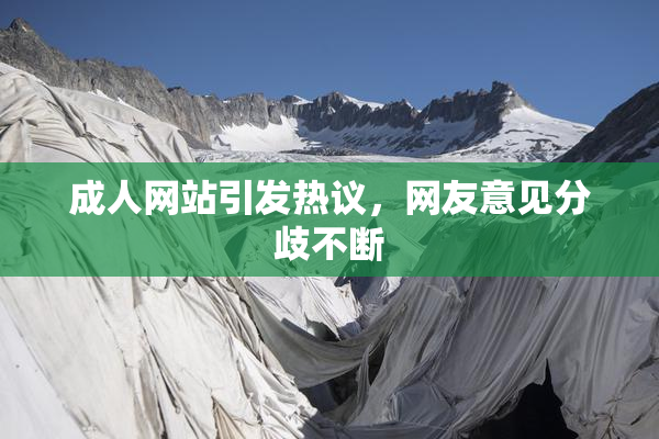 成人网站引发热议，网友意见分歧不断