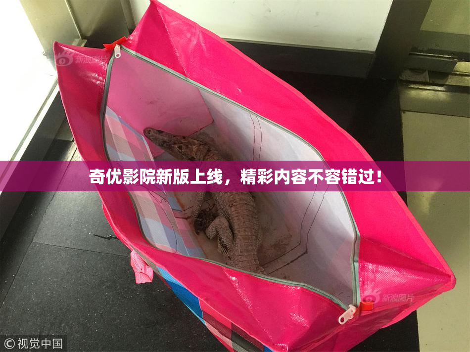奇优影院新版上线，精彩内容不容错过！