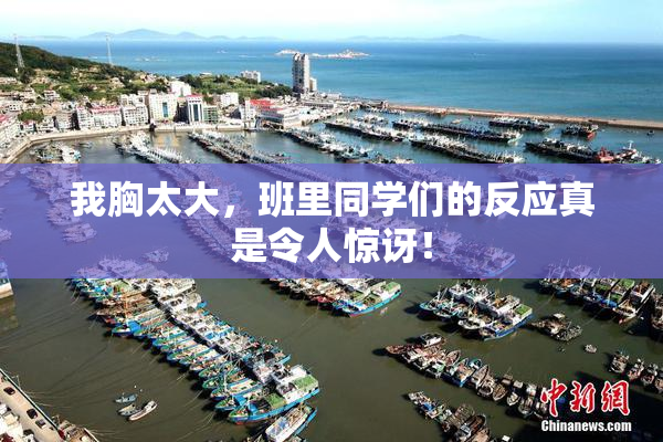 我胸太大，班里同学们的反应真是令人惊讶！