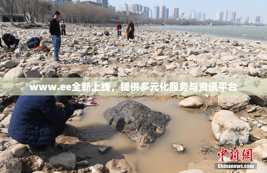 www.ee全新上线，提供多元化服务与资讯平台