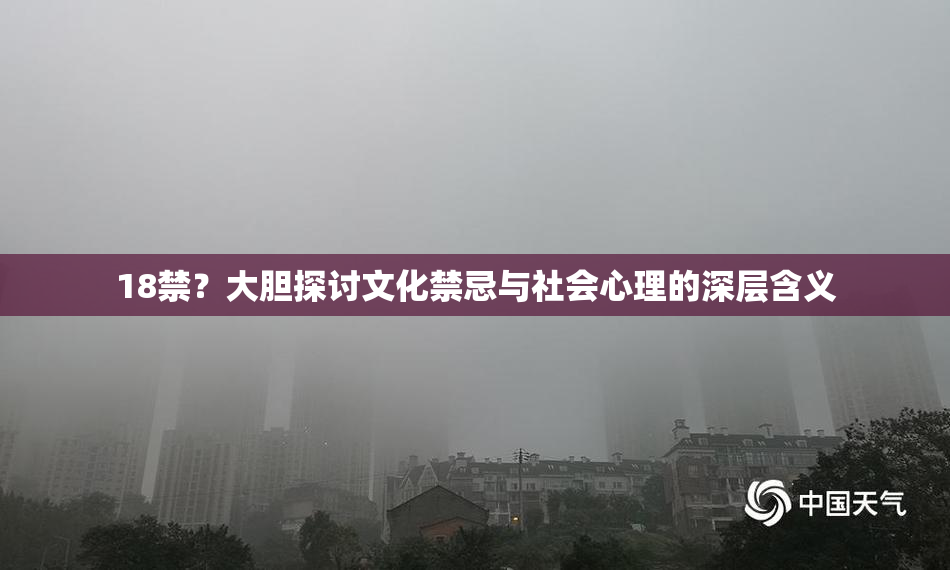 18禁？大胆探讨文化禁忌与社会心理的深层含义