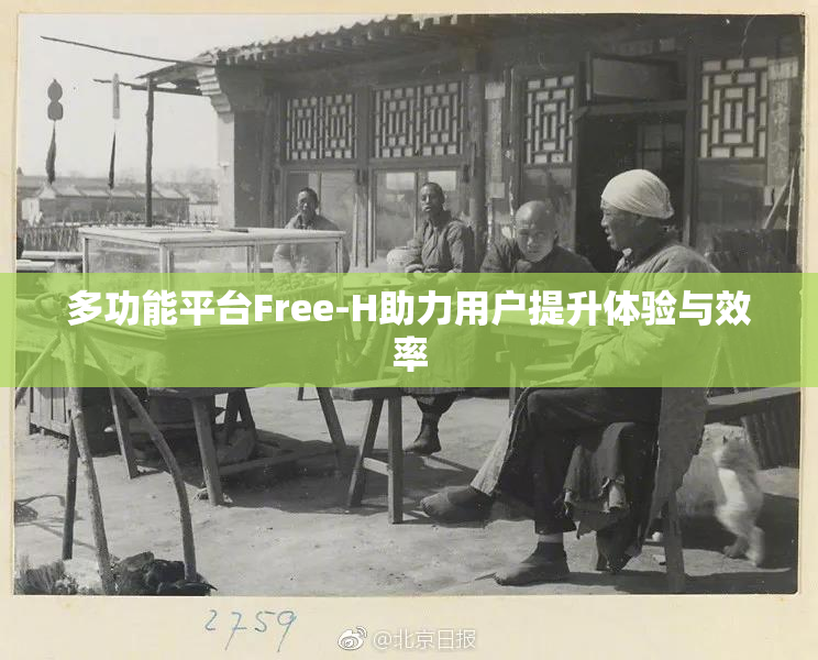 多功能平台Free-H助力用户提升体验与效率