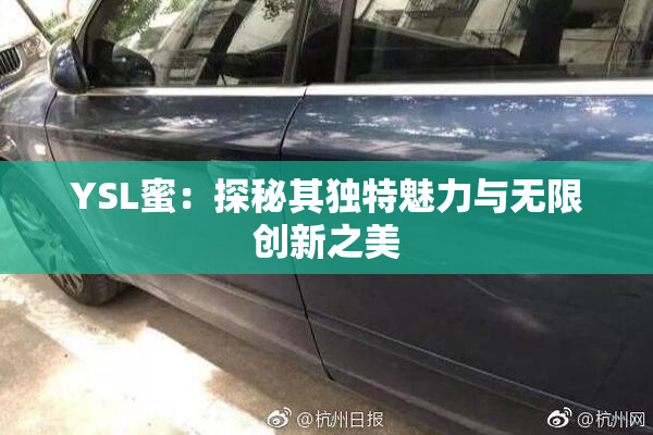 YSL蜜：探秘其独特魅力与无限创新之美