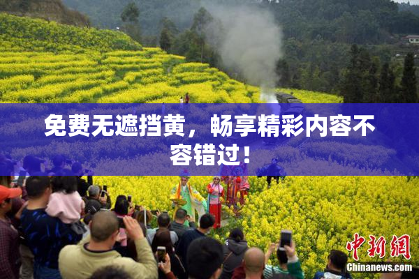 免费无遮挡黄，畅享精彩内容不容错过！