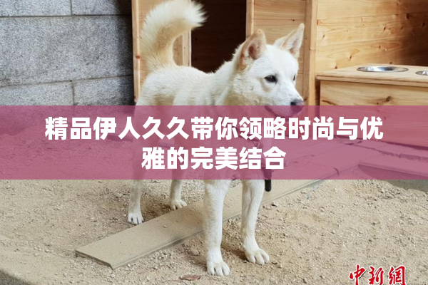 精品伊人久久带你领略时尚与优雅的完美结合