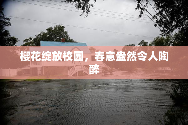 樱花绽放校园，春意盎然令人陶醉