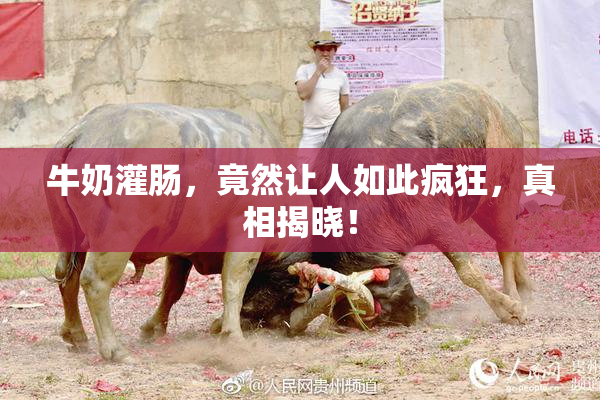 牛奶灌肠，竟然让人如此疯狂，真相揭晓！