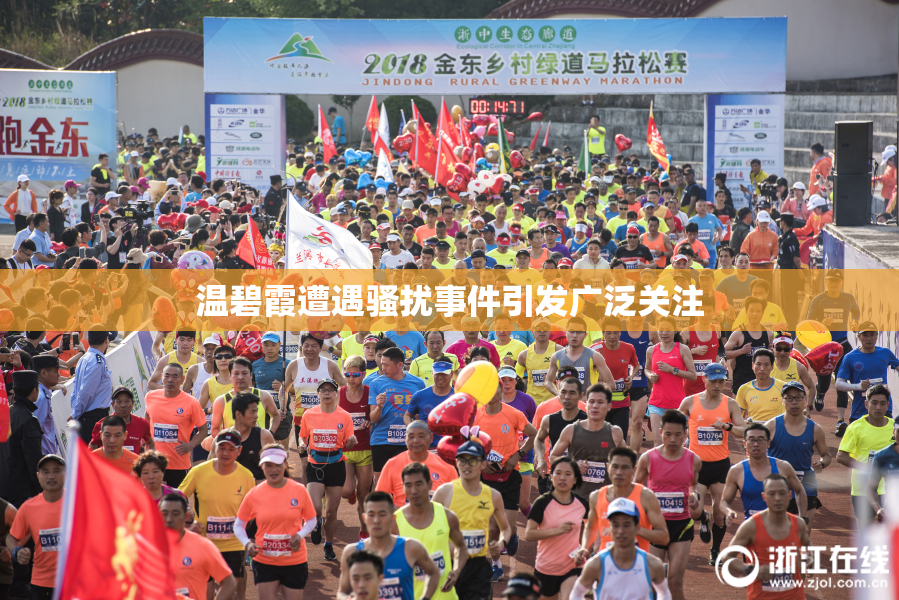 温碧霞遭遇骚扰事件引发广泛关注