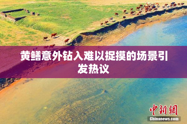 黄鳝意外钻入难以捉摸的场景引发热议