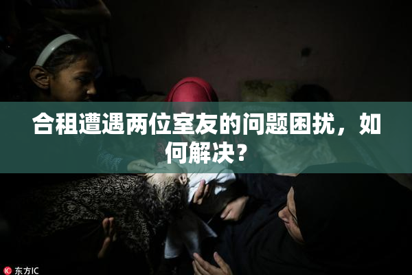 合租遭遇两位室友的问题困扰，如何解决？