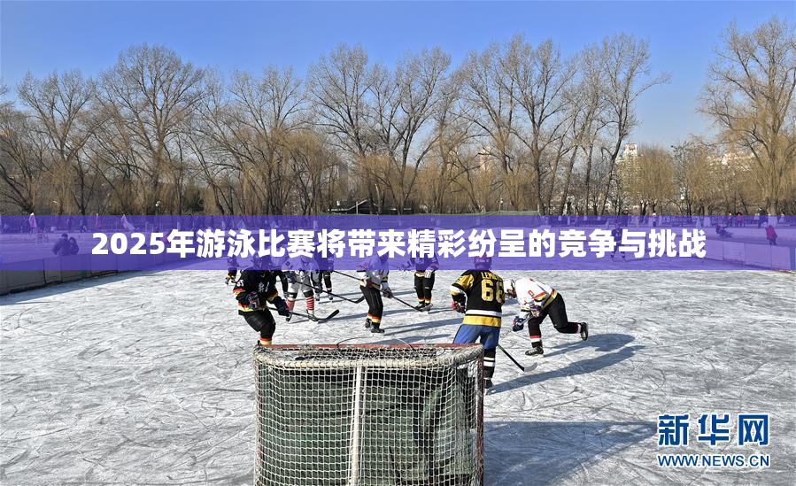 2025年游泳比赛将带来精彩纷呈的竞争与挑战