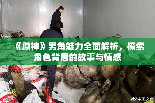 《原神》男角魅力全面解析，探索角色背后的故事与情感
