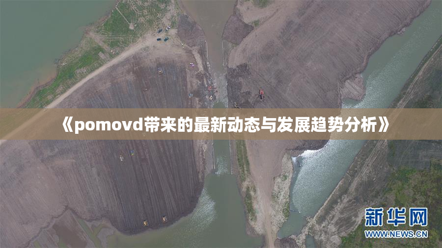 《pomovd带来的最新动态与发展趋势分析》