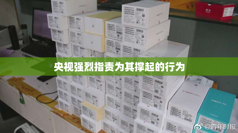 央视强烈指责为其撑起的行为