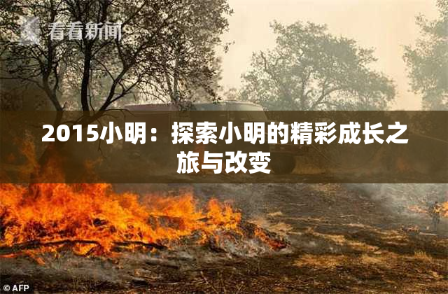 2015小明：探索小明的精彩成长之旅与改变