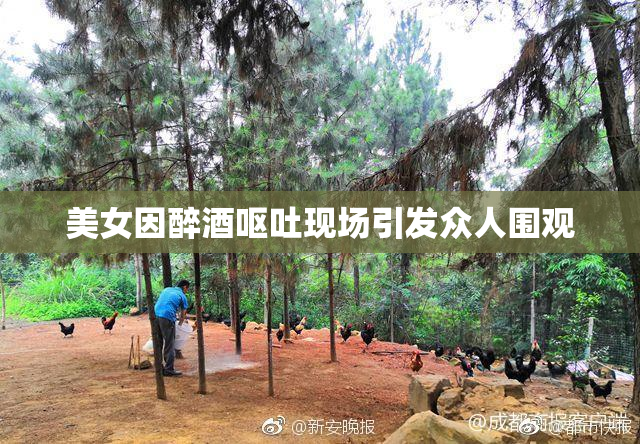 美女因醉酒呕吐现场引发众人围观