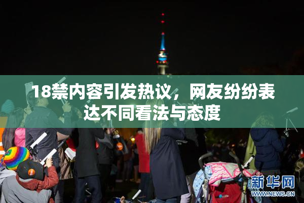 18禁内容引发热议，网友纷纷表达不同看法与态度