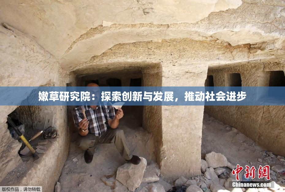 嫩草研究院：探索创新与发展，推动社会进步