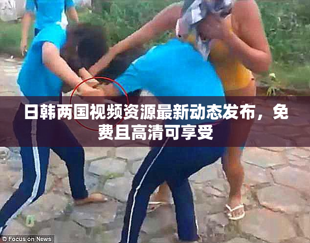 日韩两国视频资源最新动态发布，免费且高清可享受