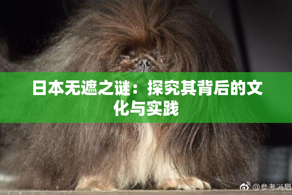 日本无遮之谜：探究其背后的文化与实践