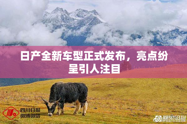 日产全新车型正式发布，亮点纷呈引人注目