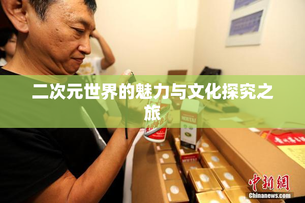 二次元世界的魅力与文化探究之旅