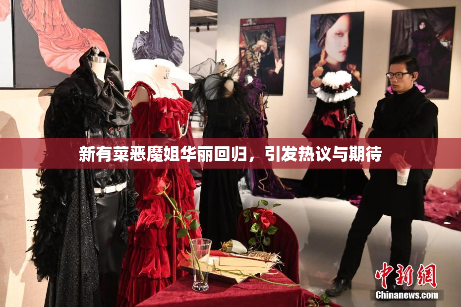 新有菜恶魔姐华丽回归，引发热议与期待