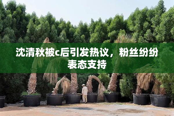 沈清秋被c后引发热议，粉丝纷纷表态支持