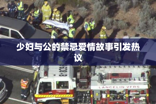 少妇与公的禁忌爱情故事引发热议