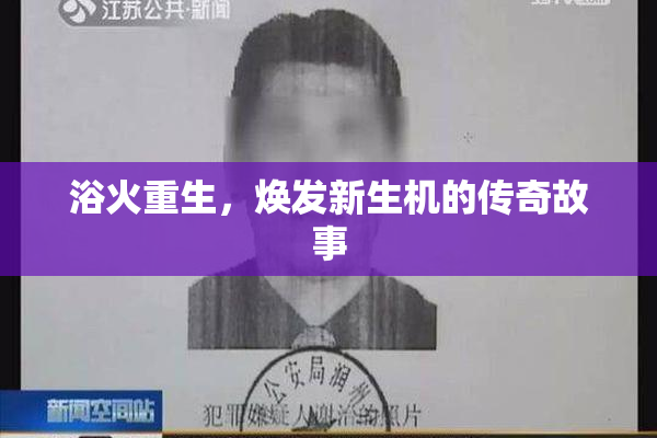 浴火重生，焕发新生机的传奇故事