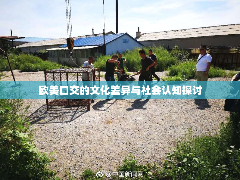 欧美口交的文化差异与社会认知探讨