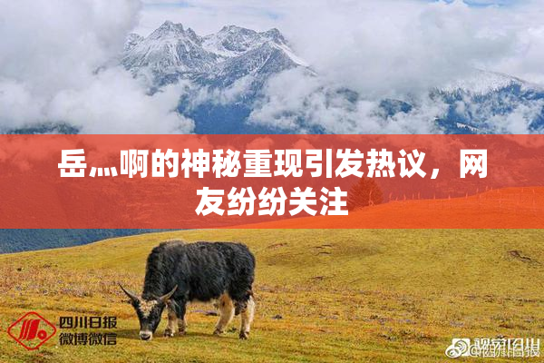 岳灬啊的神秘重现引发热议，网友纷纷关注