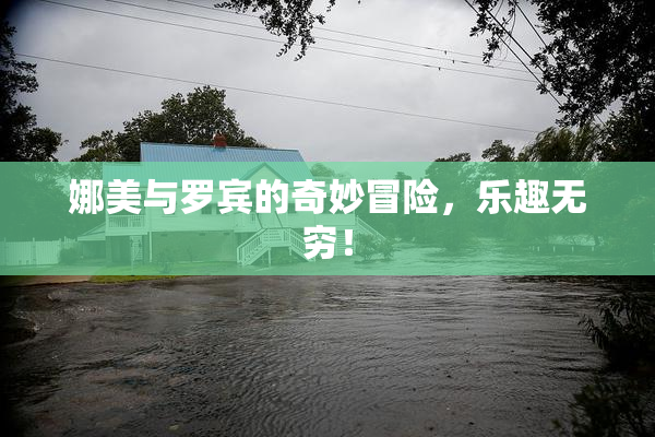 娜美与罗宾的奇妙冒险，乐趣无穷！