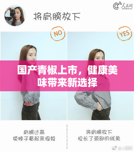 国产青椒上市，健康美味带来新选择