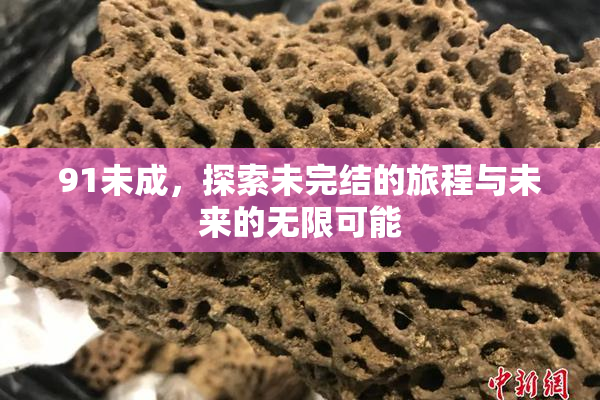 91未成，探索未完结的旅程与未来的无限可能