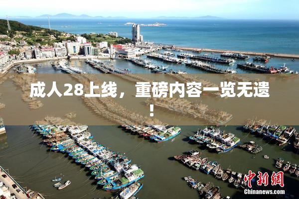成人28上线，重磅内容一览无遗！