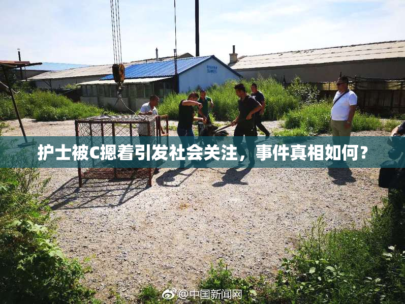 护士被C摁着引发社会关注，事件真相如何？