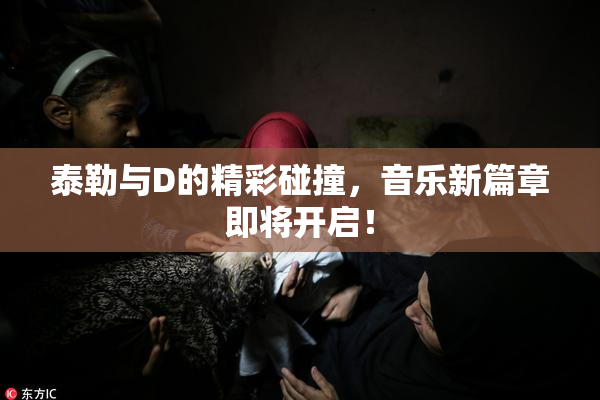 泰勒与D的精彩碰撞，音乐新篇章即将开启！
