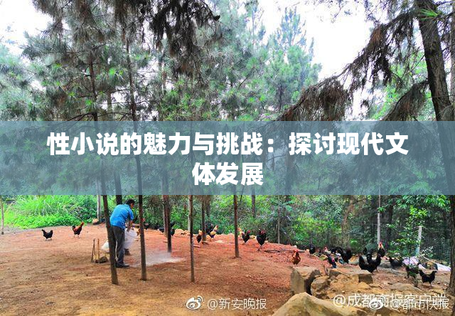 性小说的魅力与挑战：探讨现代文体发展